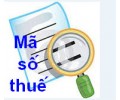 quy định về cấp và sử dụng mã số thuế